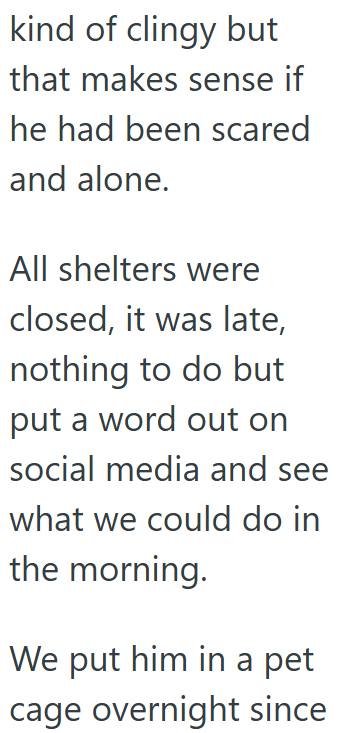 kind of clingy but that makes sense if he had been scared and alone. All shelters were closed, it was late, nothing to do but put a word out on social media and see what we could do in the morning. We put him in a pet cage overnight since