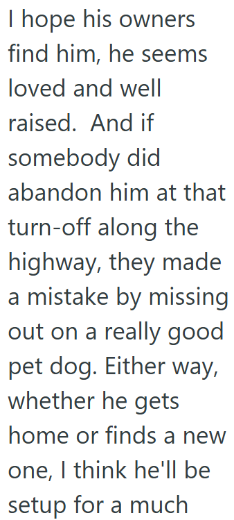 I hope his owners find him, he seems loved and well raised. And if somebody did abandon him at that turn-off along the highway, they made a mistake by missing out on a really good pet dog. Either way, whether he gets home or finds a new one, I think he'll be setup for a much