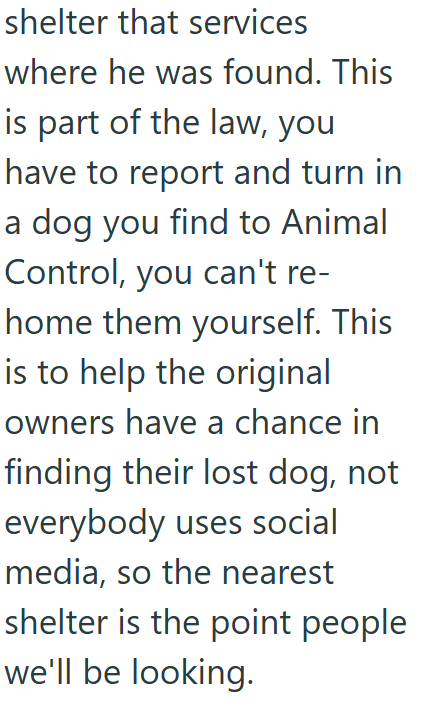 shelter that services where he was found. This is part of the law, you have to report and turn in a dog you find to Animal Control, you can't re- home them yourself. This is to help the original owners have a chance in finding their lost dog, not everybody uses social media, so the nearest shelter is the point people we'll be looking.