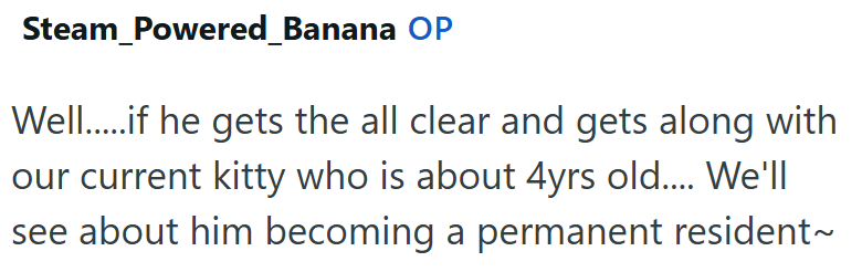 Steam_Powered_Banana OP Well.....if he gets the all clear and gets along with our current kitty who is about 4yrs old.... We'll see about him becoming a permanent resident~