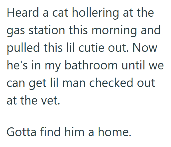 Heard a cat hollering at the gas station this morning and pulled this lil cutie out. Now he's in my bathroom until we can get lil man checked out at the vet. Gotta find him a home.