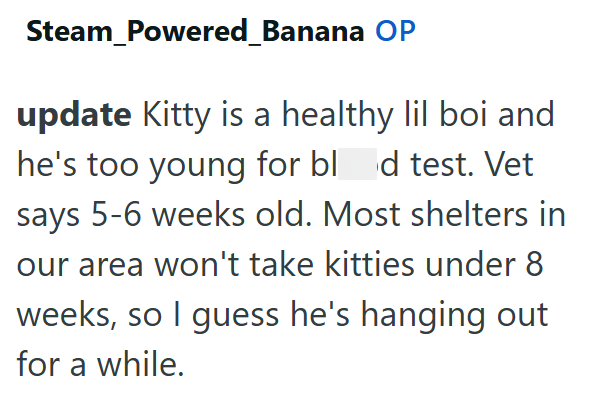 Steam_Powered_Banana OP update Kitty is a healthy lil boi and he's too young for blod test. Vet says 5-6 weeks old. Most shelters in our area won't take kitties under 8 weeks, so I guess he's hanging out for a while.
