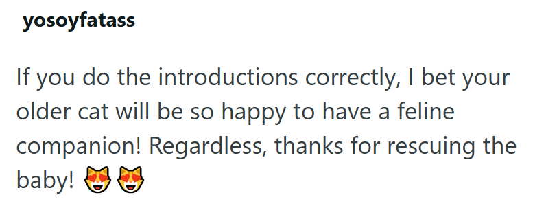 yosoyfatass If you do the introductions correctly, I bet your older cat will be so happy to have a feline companion! Regardless, thanks for rescuing the baby!