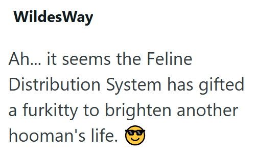 WildesWay Ah... it seems the Feline Distribution System has gifted furkitty to brighten another hooman's life.