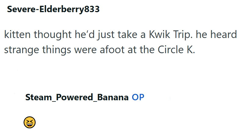 Severe-Elderberry833 kitten thought he'd just take a Kwik Trip. he heard strange things were afoot at the Circle K. Steam_Powered_Banana OP XD