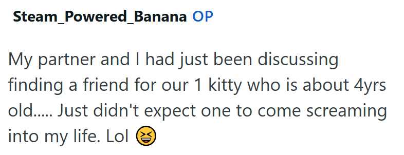 Steam_Powered_Banana OP My partner and I had just been discussing finding a friend for our 1 kitty who is about 4yrs old..... Just didn't expect one to come screaming into my life. Lol ②