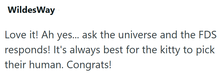 WildesWay Love it! Ah yes... ask the universe and the FDS responds! It's always best for the kitty to pick their human. Congrats!
