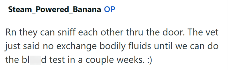 Steam_Powered_Banana OP Rn they can sniff each other thru the door. The vet just said no exchange bodily fluids until we can do the blad test in a couple weeks. :)