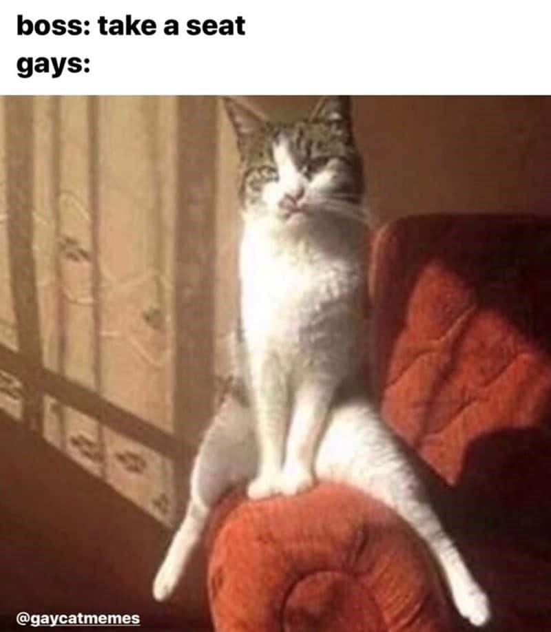boss: take a seat gays: @gaycatmemes
