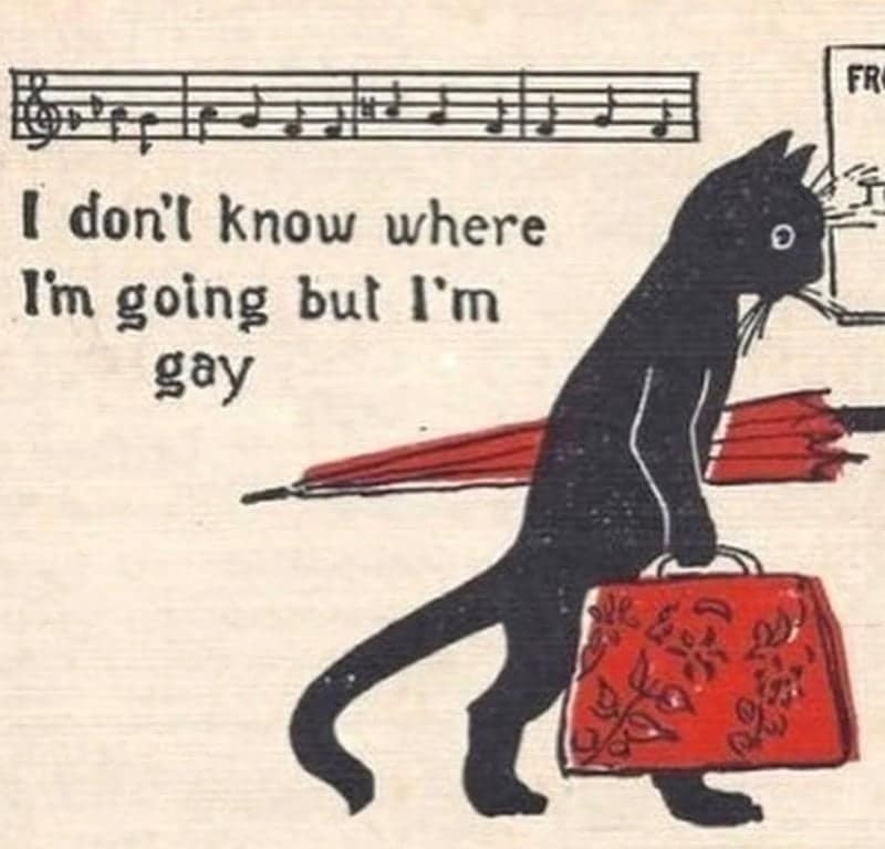 I don't know where I'm going but I'm gay FR