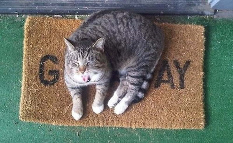 G ZAY