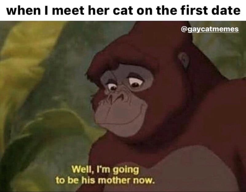 when I meet her cat on the first date @gaycatmemes Well, I'm going to be his mother now.