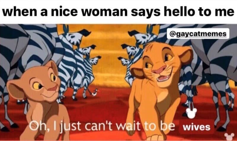 when a nice woman says hello to me @gaycatmemes Oh, I just can't wait to be wives