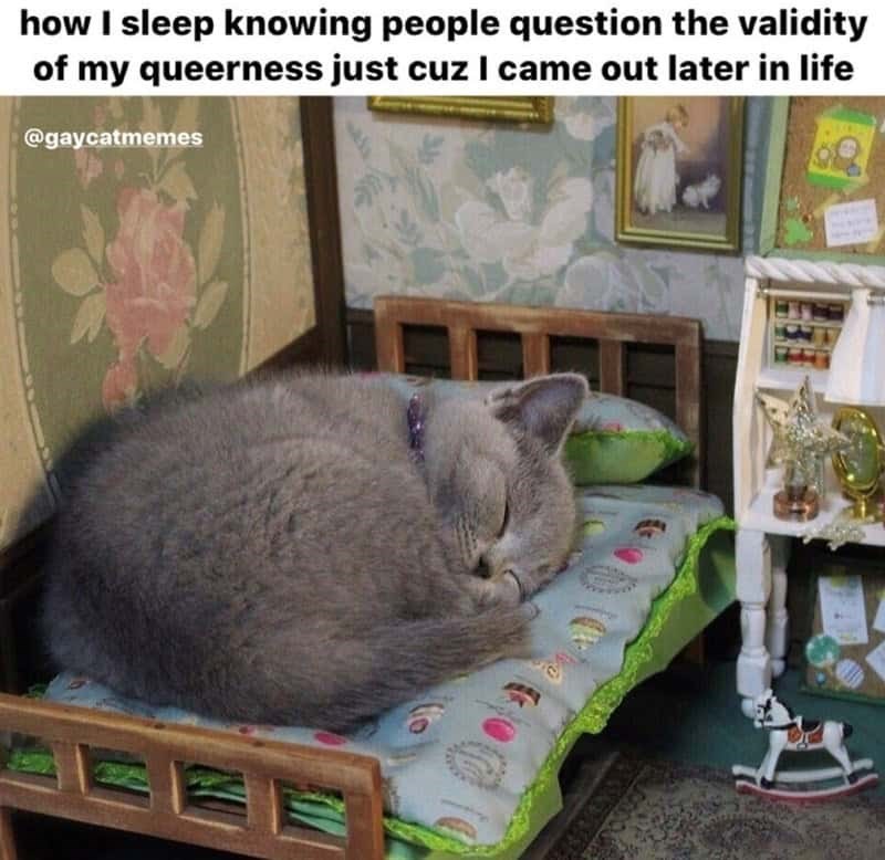 how I sleep knowing people question the validity of my queerness just cuz I came out later in life @gaycatmemes E