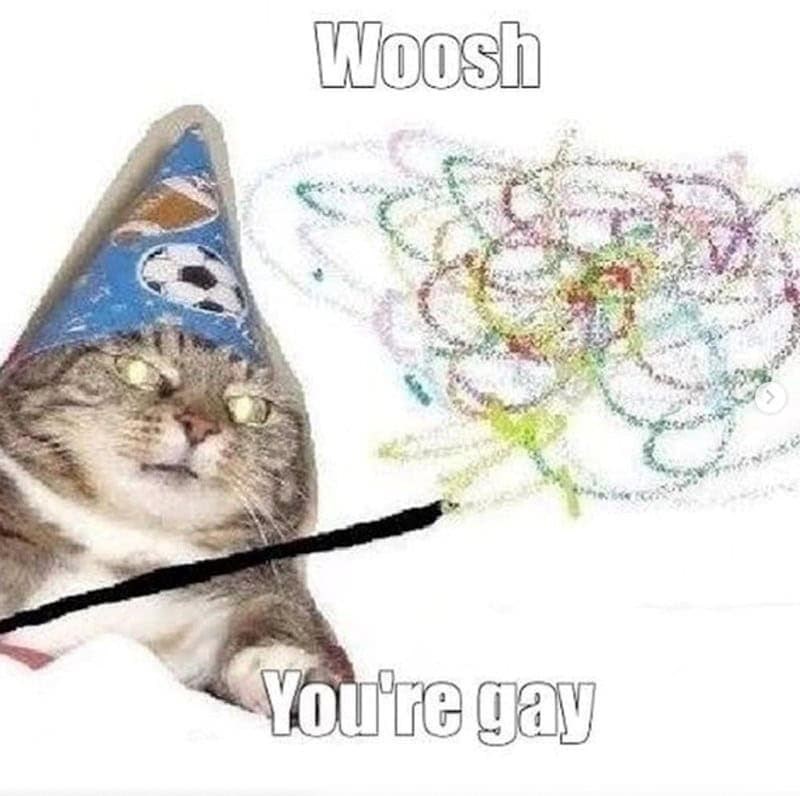 Woosh You're gay