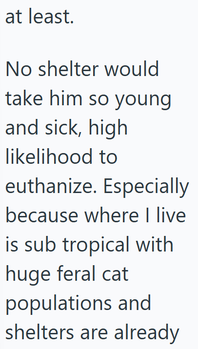 at least. No shelter would take him so young and sick, high likelihood to euthanize. Especially because where I live is sub tropical with huge feral cat populations and shelters are already