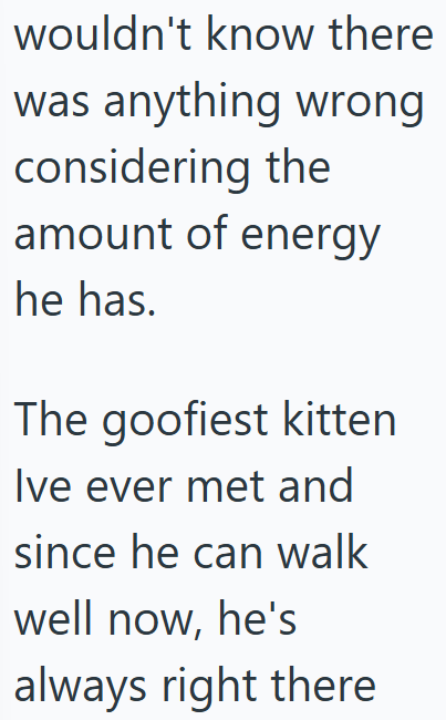 wouldn't know there was anything wrong considering the amount of energy he has. The goofiest kitten Ive ever met and since he can walk well now, he's always right there