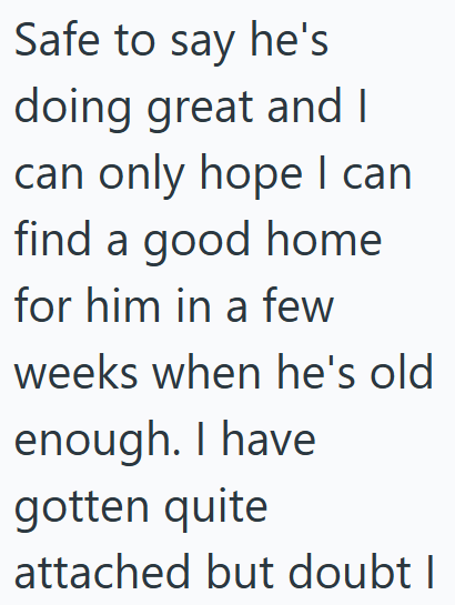 Safe to say he's doing great and I can only hope I can find a good home for him in a few weeks when he's old enough. I have gotten quite attached but doubt I