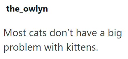 the_owlyn Most cats don't have a big problem with kittens.