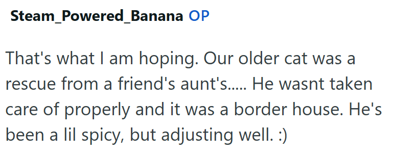 Steam_Powered_Banana OP That's what I am hoping. Our older cat was a rescue from a friend's aunt's..... He wasnt taken care of properly and it was a border house. He's been a lil spicy, but adjusting well. :)