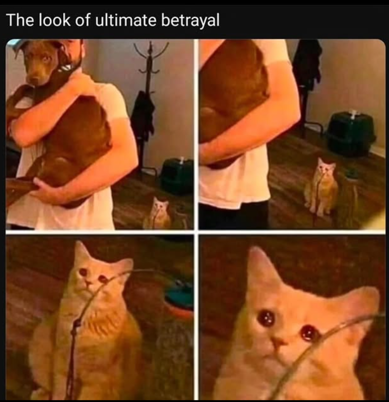 The look of ultimate betrayal