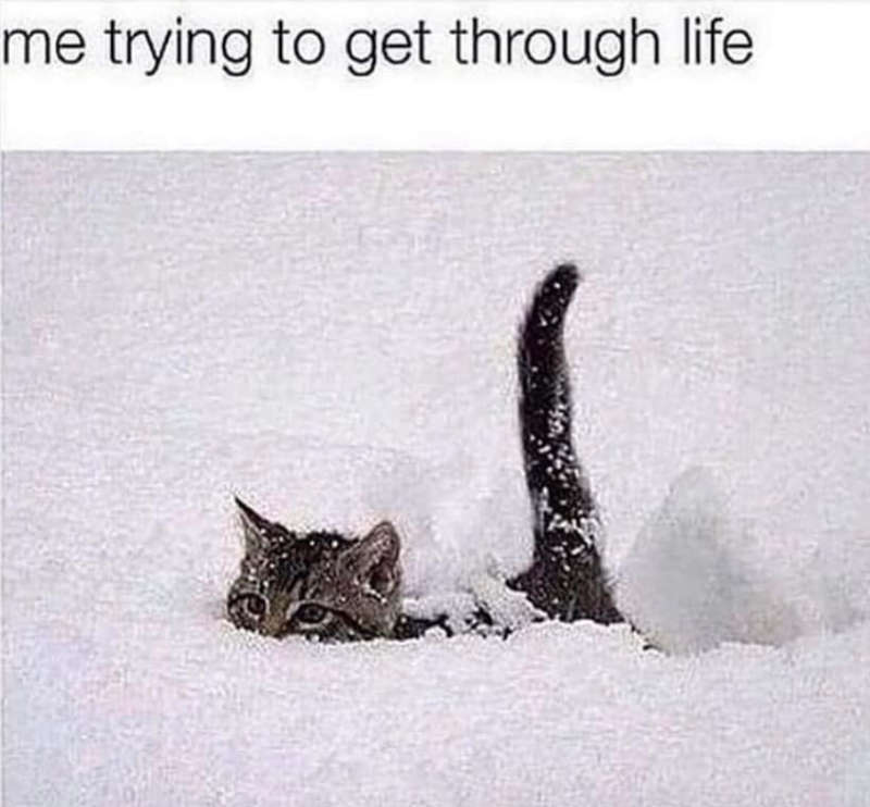 me trying to get through life