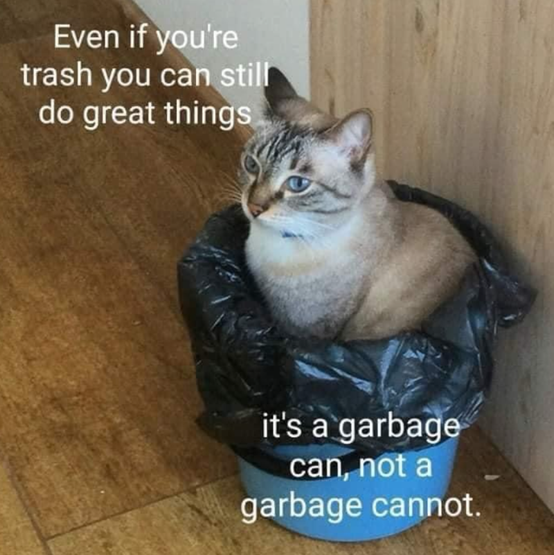 Even if you're trash you can still do great things it's a garbage can, not a garbage cannot.