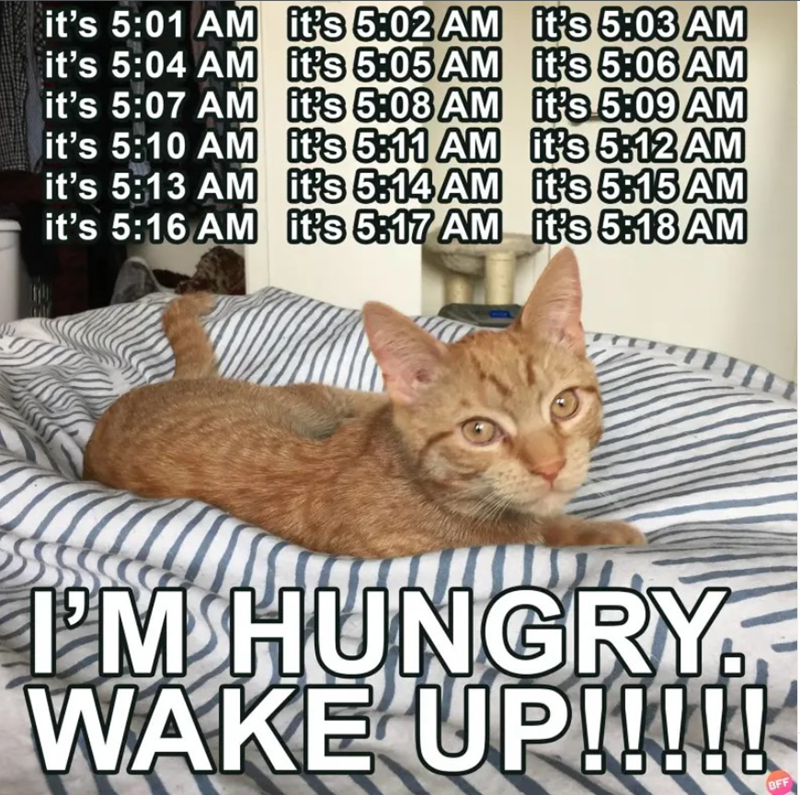 it's 5:01 AM it's 5:04 AM it's 5:07 AM it's 5:10 AM it's 5:13 AM it's 5:16 AM it's 5:02 AM it's 5:05 AM it's 5:08 AM it's 5:11 AM it's 5:14 AM it's 5:17 AM it's 5:03 AM it's 5:06 AM it's 5:09 AM it's 5:12 AM it's 5:15 AM it's 5:18 AM I'M HUNGRY. WAKE UP!!!!! BFF