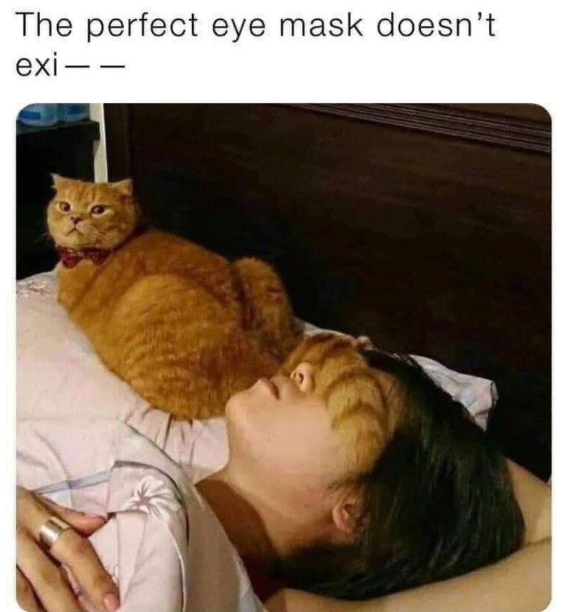 The perfect eye mask doesn't exi- -