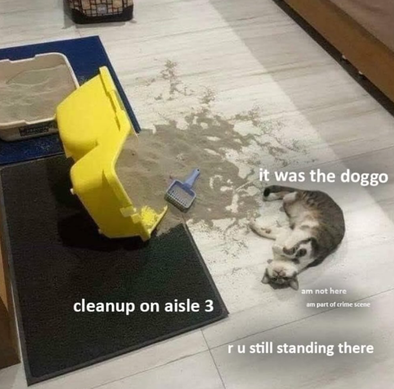 it was the doggo cleanup on aisle 3 am not here am part of crime scene r u still standing there