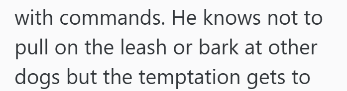 with commands. He knows not to pull on the leash or bark at other dogs but the temptation gets to
