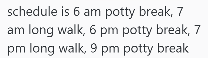 schedule is 6 am potty break, 7 am long walk, 6 pm potty break, 7 pm long walk, 9 pm potty break