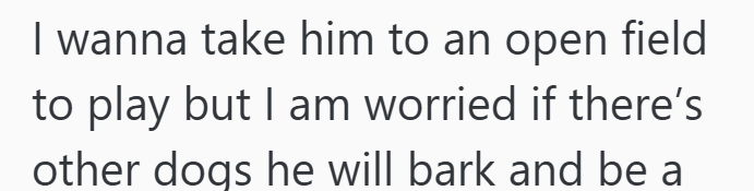 I wanna take him to an open field to play but I am worried if there's other dogs he will bark and be a