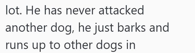 lot. He has never attacked another dog, he just barks and runs up to other dogs in