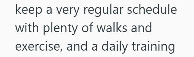 keep a very regular schedule with plenty of walks and exercise, and a daily training