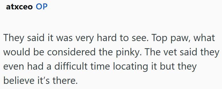 atxceo OP They said it was very hard to see. Top paw, what would be considered the pinky. The vet said they even had a difficult time locating it but they believe it's there.