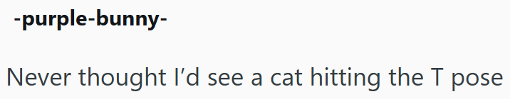 -purple-bunny- Never thought I'd see a cat hitting the T pose