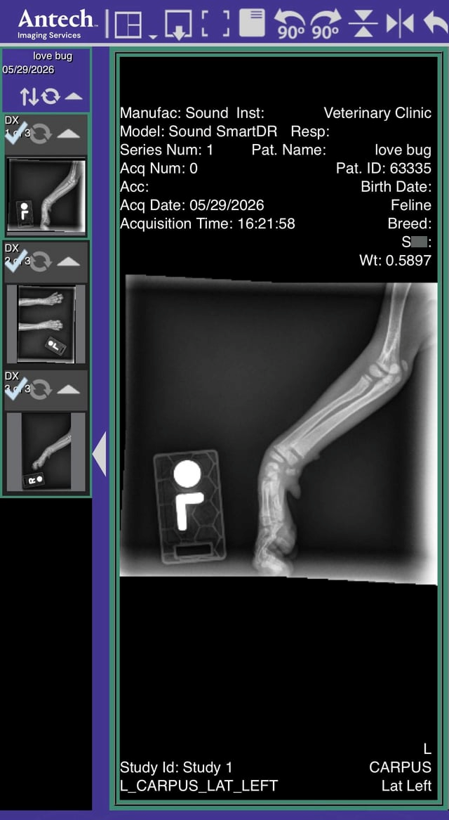 Antech. Imaging Services love bug 05/29/2026 NO ☑ 90° 90° ÷ DX 13 DX 23 Manufac: Sound Inst: Model: Sound SmartDR Resp: Series Num: 1 Pat. Name: Acq Num: 0 Acc: Acq Date: 05/29/2026 Acquisition Time: 16:21:58 Veterinary Clinic love bug Pat. ID: 63335 Birth Date: Feline Breed: S : Wt: 0.5897 11° DX Study Id: Study 1 L_CARPUS_LAT_LEFT CARPUS Lat Left