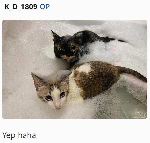 K_D_1809 OP Yep haha