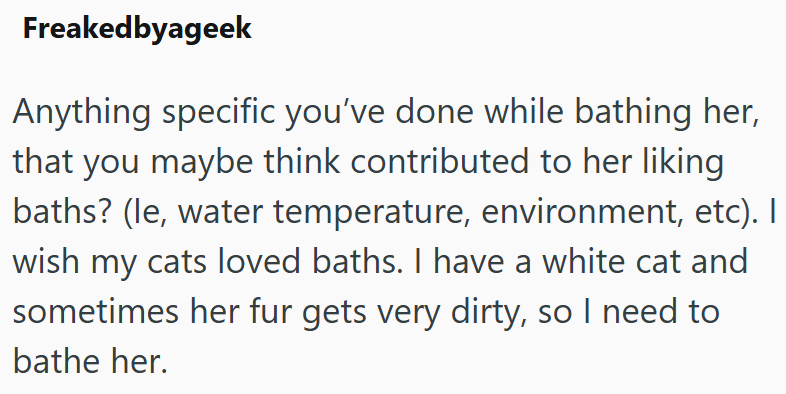 Freakedbyageek Anything specific you've done while bathing her, that you maybe think contributed to her liking baths? (le, water temperature, environment, etc). I wish my cats loved baths. I have a white cat and sometimes her fur gets very dirty, so I need to bathe her.
