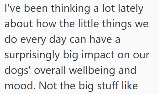 I've been thinking a lot lately about how the little things we do every day can have a surprisingly big impact on our dogs' overall wellbeing and mood. Not the big stuff like