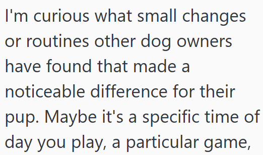 I'm curious what small changes or routines other dog owners have found that made a noticeable difference for their pup. Maybe it's a specific time of day you play, a particular game,