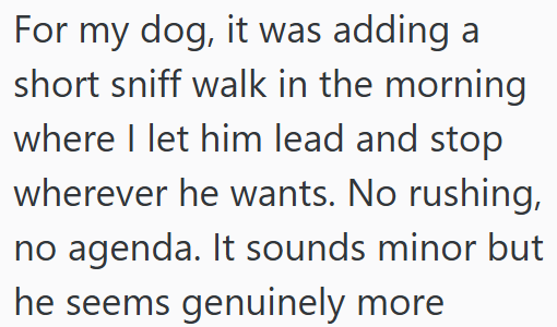 For my dog, it was adding a short sniff walk in the morning where I let him lead and stop wherever he wants. No rushing, no agenda. It sounds minor but he seems genuinely more
