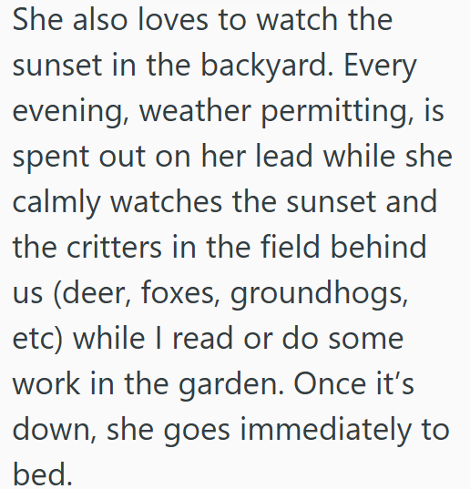 She also loves to watch the sunset in the backyard. Every evening, weather permitting, is spent out on her lead while she calmly watches the sunset and the critters in the field behind us (deer, foxes, groundhogs, etc) while I read or do some work in the garden. Once it's down, she goes immediately to bed.