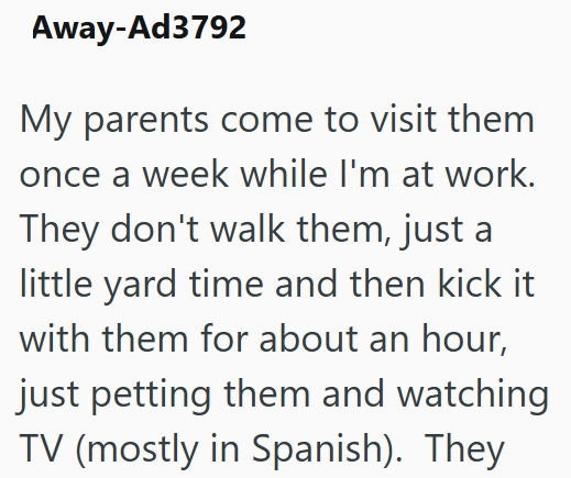 Away-Ad3792 My parents come to visit them once a week while I'm at work. They don't walk them, just a little yard time and then kick it with them for about an hour, just petting them and watching TV (mostly in Spanish). They