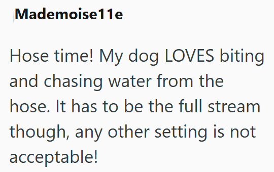 Mademoise11e Hose time! My dog LOVES biting and chasing water from the hose. It has to be the full stream though, any other setting is not acceptable!