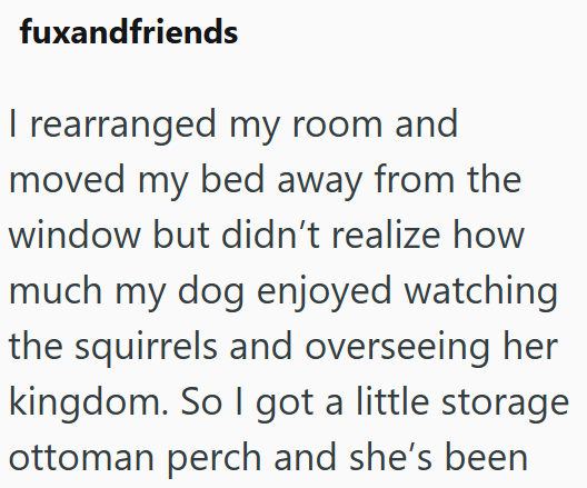 fuxandfriends I rearranged my room and moved my bed away from the window but didn't realize how much my dog enjoyed watching the squirrels and overseeing her kingdom. So I got a little storage ottoman perch and she's been