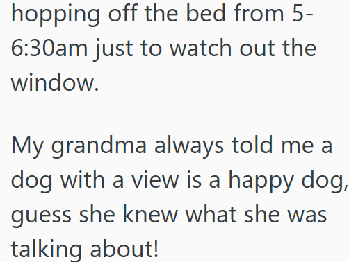 hopping off the bed from 5- 6:30am just to watch out the window. My grandma always told me a dog with a view is a happy dog, guess she knew what she was talking about!