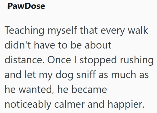 PawDose Teaching myself that every walk didn't have to be about distance. Once I stopped rushing and let my dog sniff as much as he wanted, he became noticeably calmer and happier.