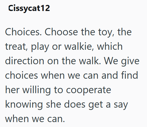Cissycat12 Choices. Choose the toy, the treat, play or walkie, which direction on the walk. We give choices when we can and find her willing to cooperate knowing she does get a say when we can.